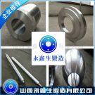 21CrMoV5-7材質(zhì)鍛件