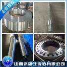 SAE1330材質(zhì)鍛件